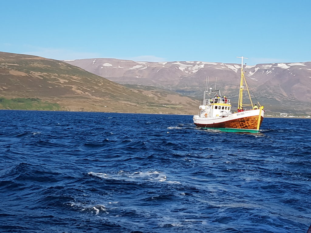 Students on a study abroad program in Iceland learning about Global fisheries and climate change