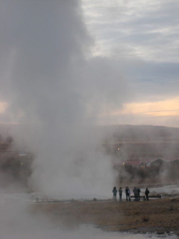 Geysir Students on study abroad program on sustainability in Iceland visiting a local farmer in Iceland