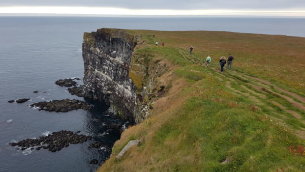 Hiking Latrabjarg puffin cliffs in Westfjords in Iceland