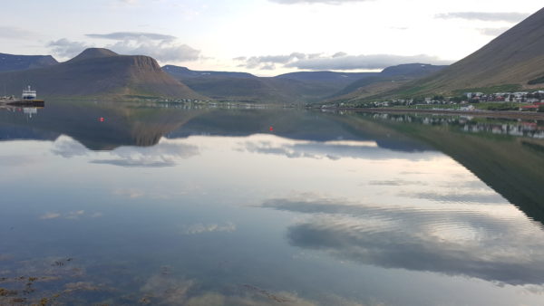 Unique experiences in Westfjords of Iceland