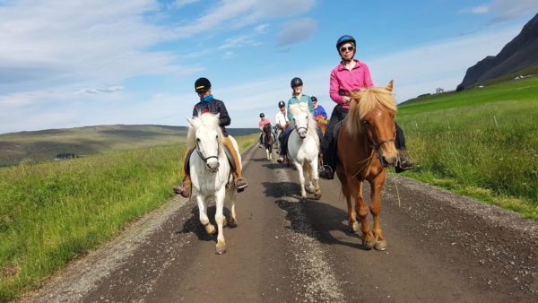A group of women horseback riding on all womens tour and solo female travel in Iceland