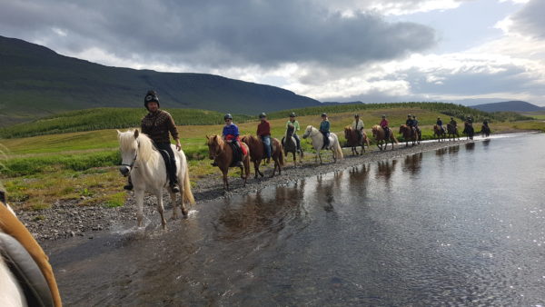 Empowering woment trip on Horseback riding in Iceland