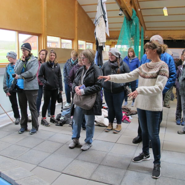 Students on study abroad in Iceland visiting an exhibition in Iceland